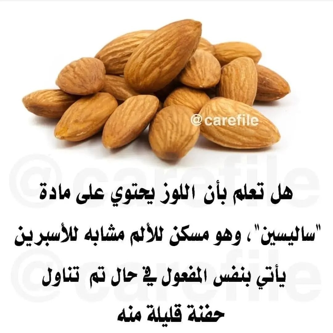 هدیر التمیمی (@hadiraltamimi) on Twitter photo 