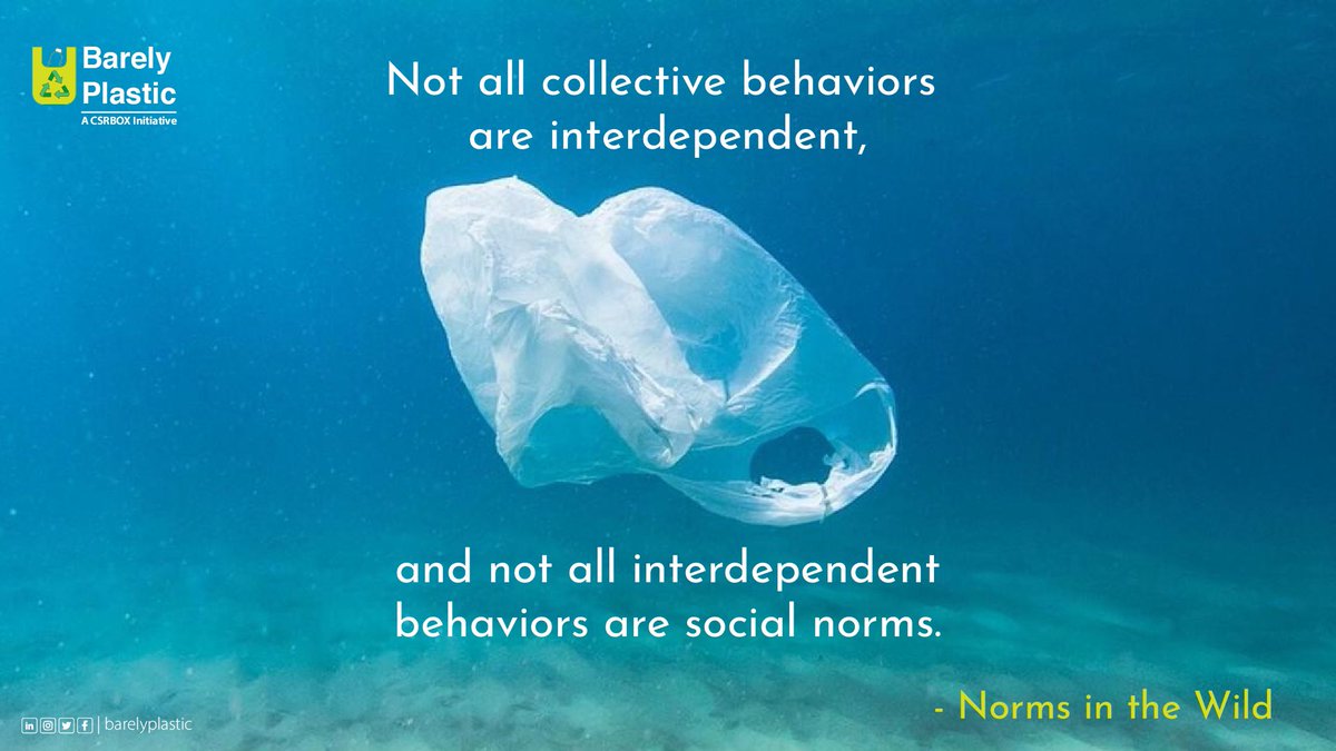 BarelyPlastic tweet media