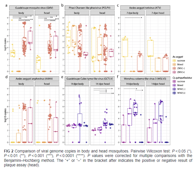 Jelle Matthijnssens tweet media