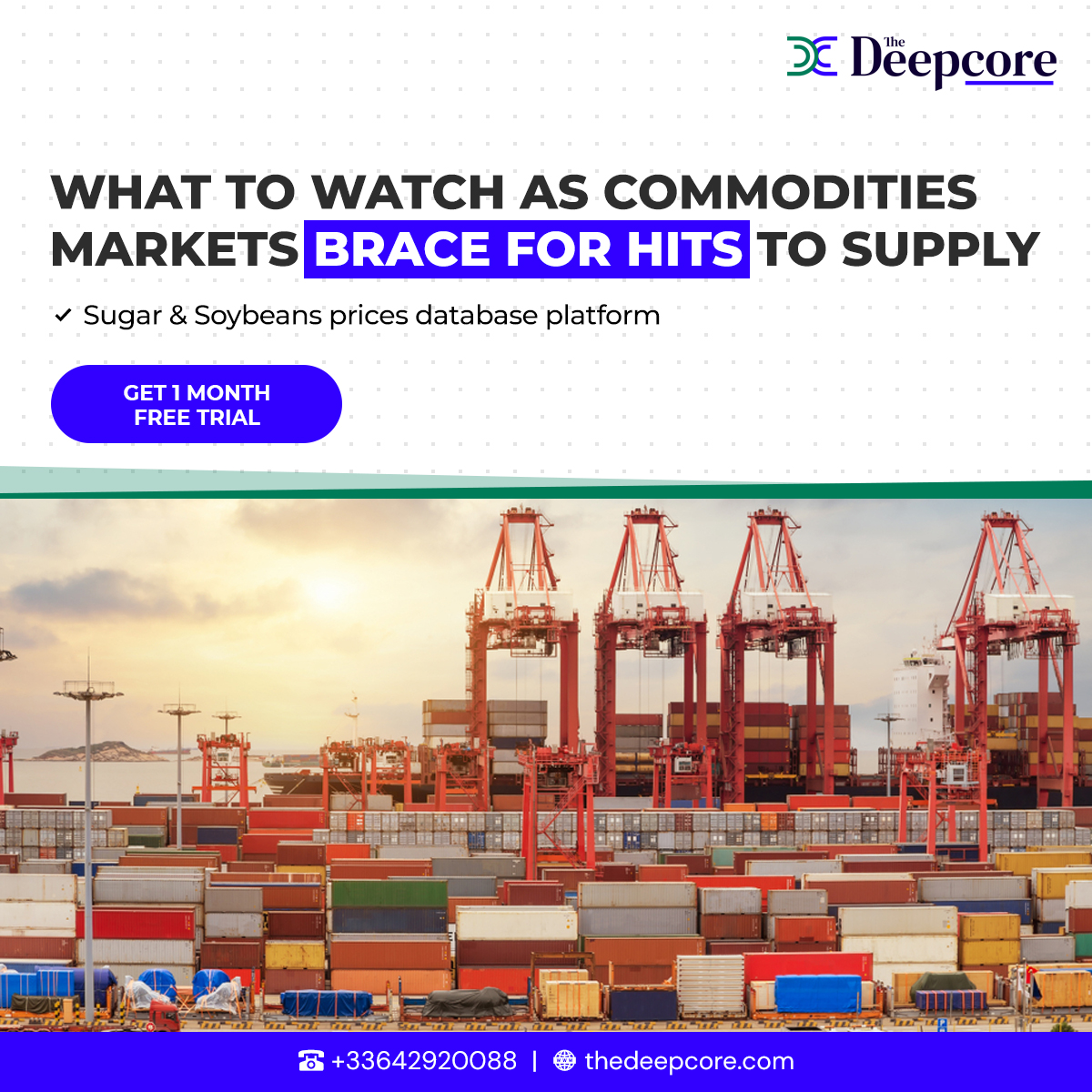 TheDeepcore's tweet image. Here's your guide to #commodities markets as supply issues are set to return to the fore
Check out: rb.gy/7lcbix

We can help you with -

✔️ Physical Sugar &amp;amp; Soybeans brokerage worldwide
✔️ Commodities Trading
✔️ Big Data Provider

#thedeepcore