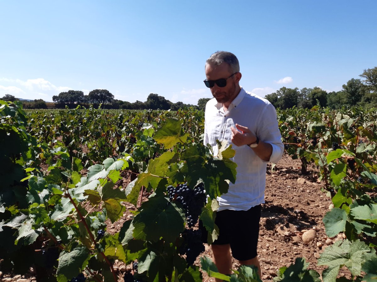 Si eres un auténtico Wine Lover, sabes que se acerca la época dorada del enoturismo. A partir de septiembre con la llega de la vendimia las bodegas y su entorno se llenan de vida. 

¿Organizamos una escapada a nuestra finca? 

👉entrevinosypagos.com/enoturismo-sep…