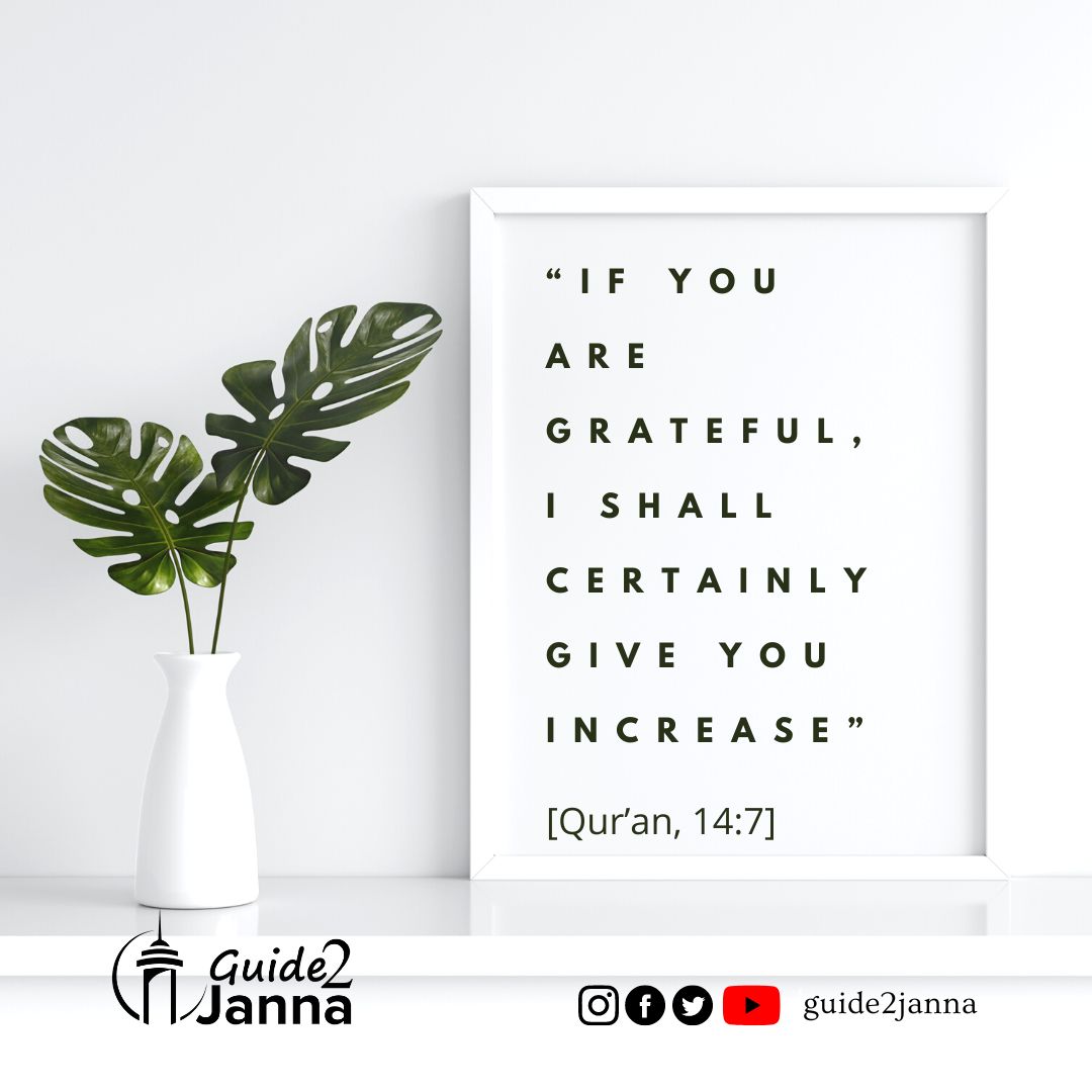 guide2janna's tweet photo. If you are grateful, I shall certainly increase you in favor https://t.co/XB9BvACec0