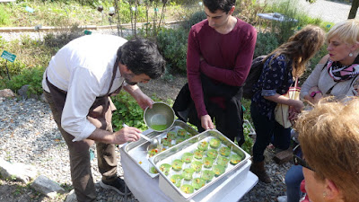 jardibotanic's tweet photo. Voleu menjar-vos el Jardí? En Francesc Rovira de la Fonda Xesc us prepara un aperitiu per poder-vos-el menjar!! https://t.co/LLC9e0nR8H