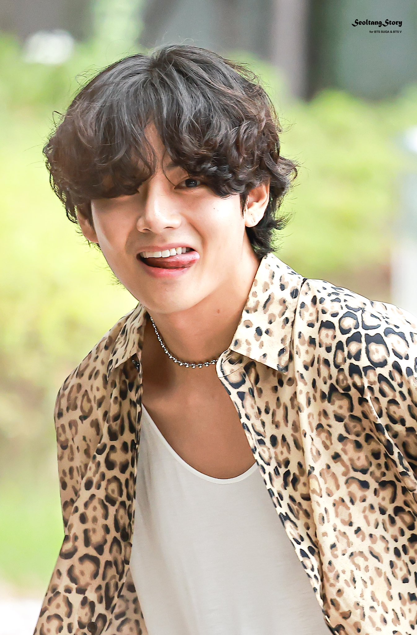 SEOLTANG STORY - 설탕스토리 🐱🐻 on Twitter: