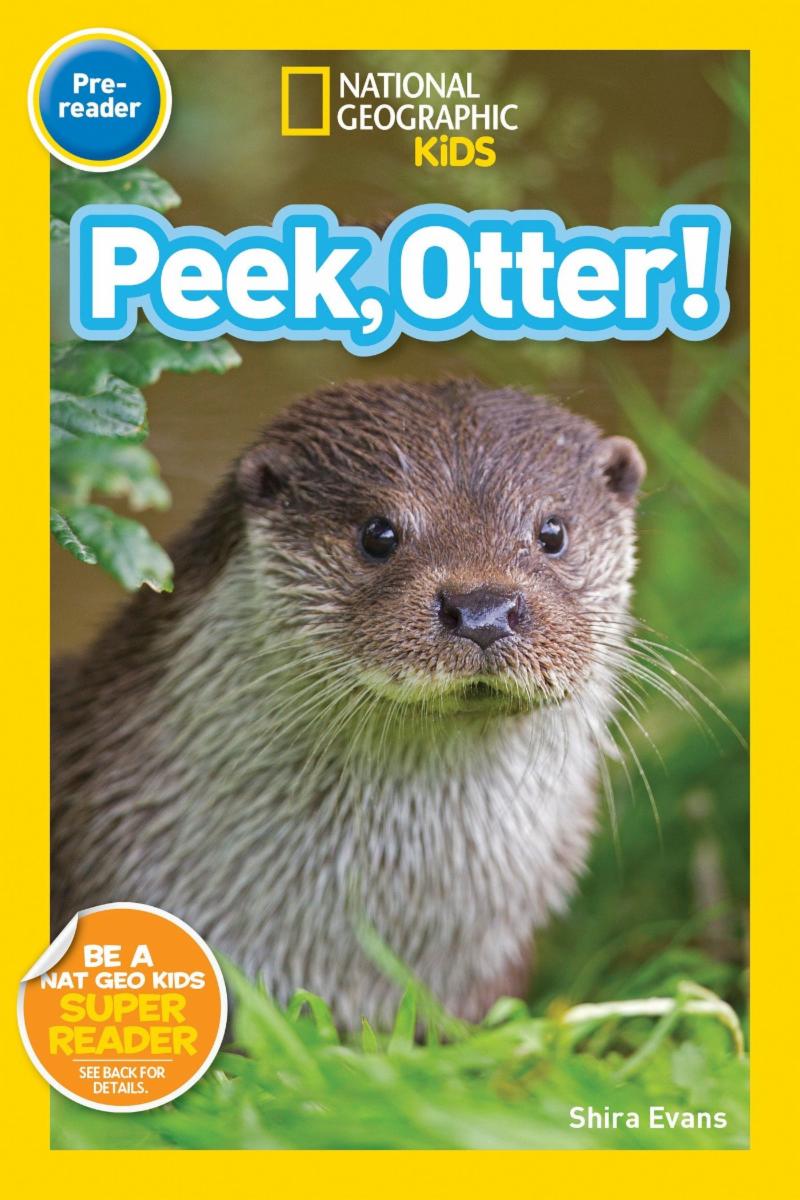 RedBoxBooks's tweet photo. National Geographic Readers - Complete Set | Accelerated Reader Pack | 84 Books | 0.5 - 6.3

National Geographic Primary Readers is a high-interest series of beginning reading books that have been developed in consultation with education experts. 

https://t.co/zbIizWdM1l https://t.co/GPNO2jrhha