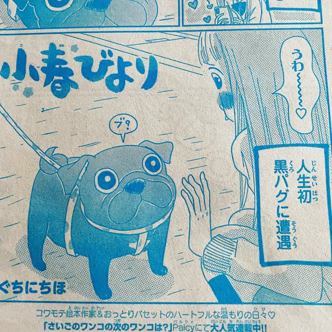別冊フレンド本日発売です!
改めてパグの良さを伝える耕之助の巻。
よろしくお願いいたしますー! 