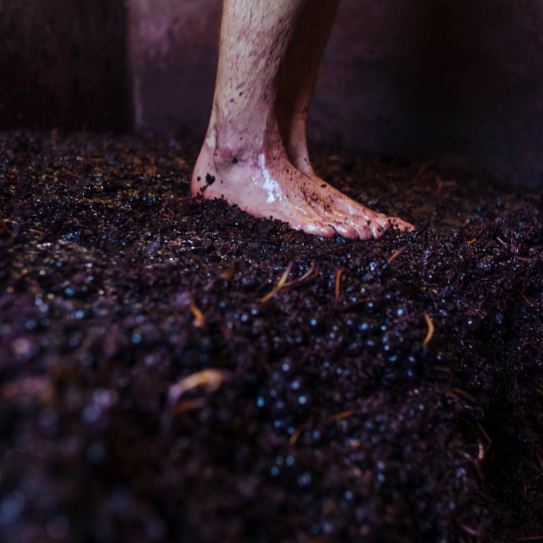 ¡Viva San Mateo! Comienzan una de las fiestas más importantes de nuestra zona donde el vino es el protagonista. 

El pisado de la uva o la ofrenda del primer mosto a la Virgen de Valvanera son algunas de las tradiciones ligadas a esta festividad.

📸 <a href="/RiojaWine/">Rioja Wine</a>