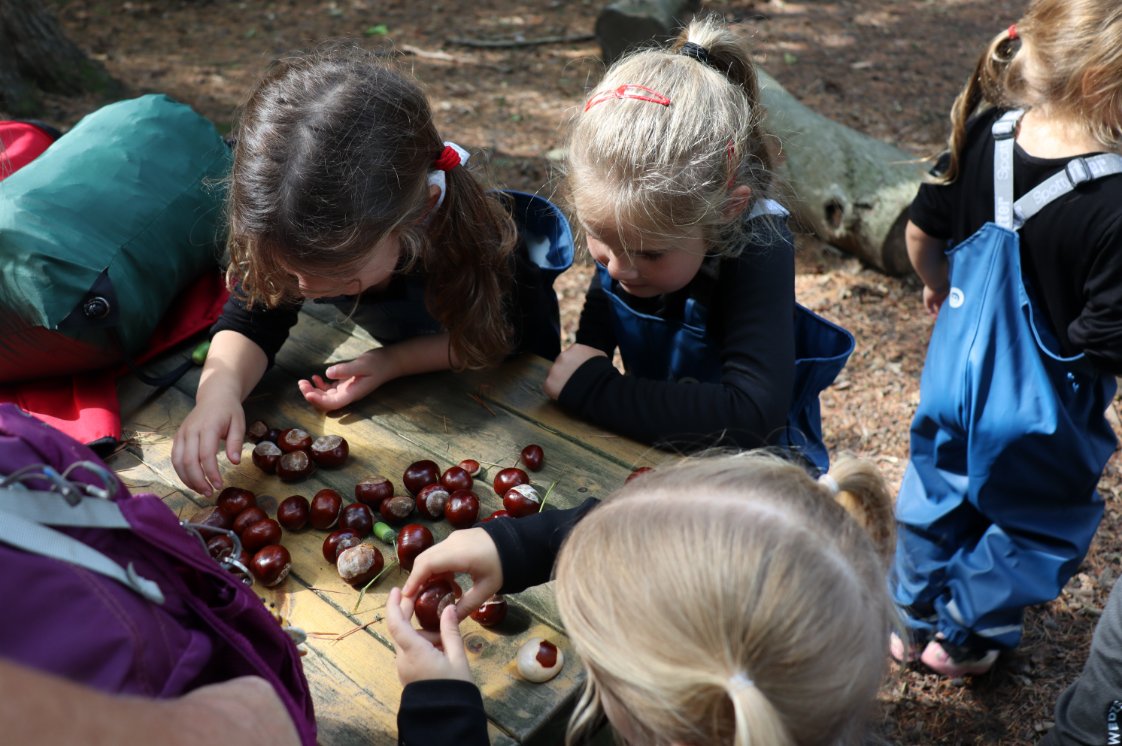 PipersCornerSch's tweet image. In #PipersForestSchool, our students not only counted conkers, but also learnt how to identify oak trees and how to be gentle with wiggily worms.

#PipersReception #PipersOutdoors