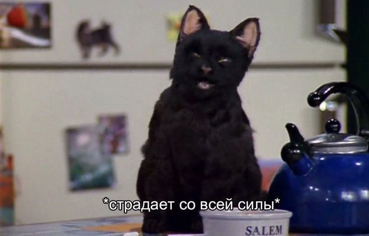 Unholy_carp's tweet photo. Нас не отпускают на перерыв, потому что мы слушаем типы дыхания при разных заболеваниях, но так как там какая-то хрень, я не понимаю что нужно слушать https://t.co/wk9dHhEse1