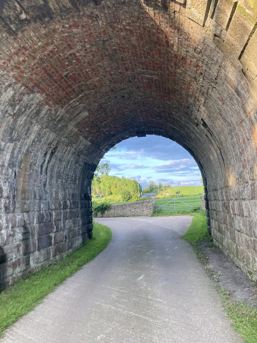 Cycling in the morning