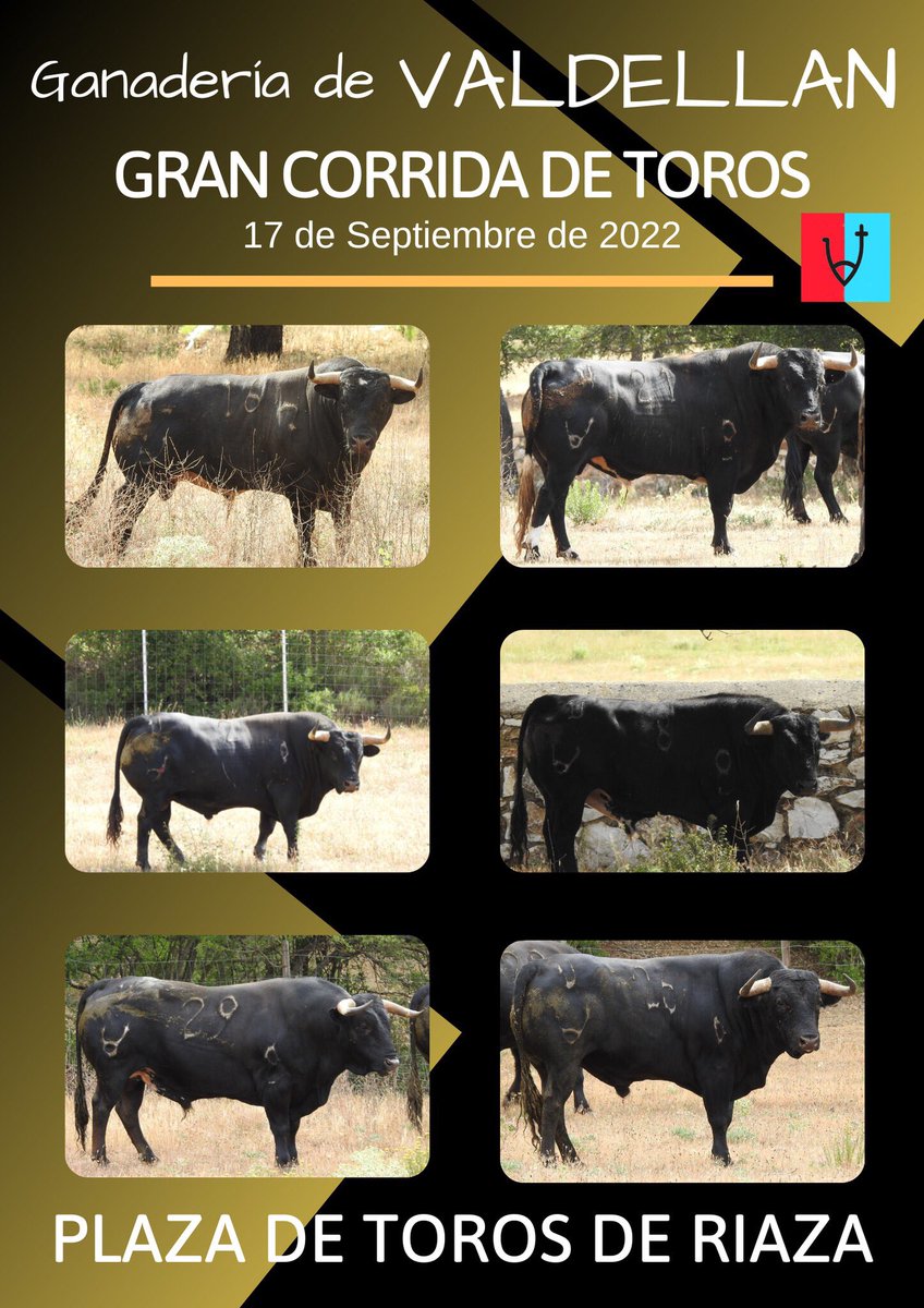CORRIDA DE TOROS SÁBADO 17 DE SEPTIEMBRE
Toros de la ganadería de Valdellán saldrán de los corrales del Rasero a las 11:30 h. A las 17:30 horas dará comienzo la corrida de toros   para los diestros, Javier Cortés, Fernando Adrián y Román
 #Riaza #Segovia #PlazaDeTorosDeRiaza