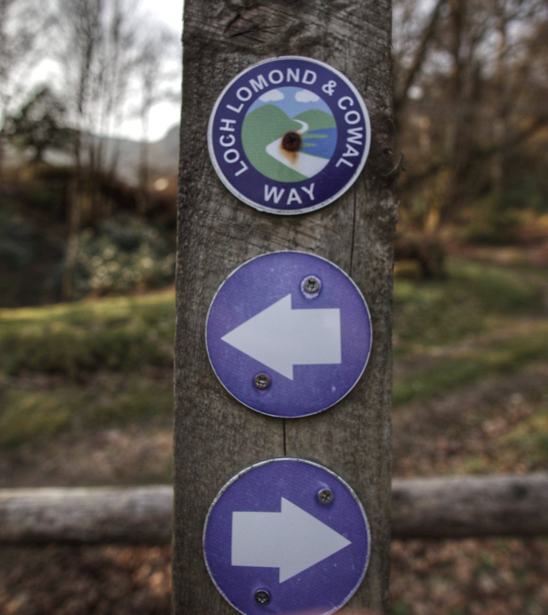econaturehols's tweet photo. This week we have guests walking the whole #lochlomondandcowalway staying with us #longdistancetrail #argyllandbute https://t.co/wIdsujD5Sk