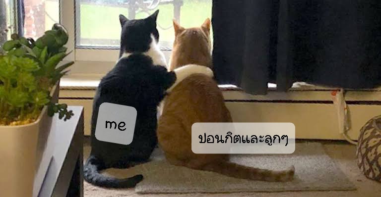 ปอนสกิด tweet media