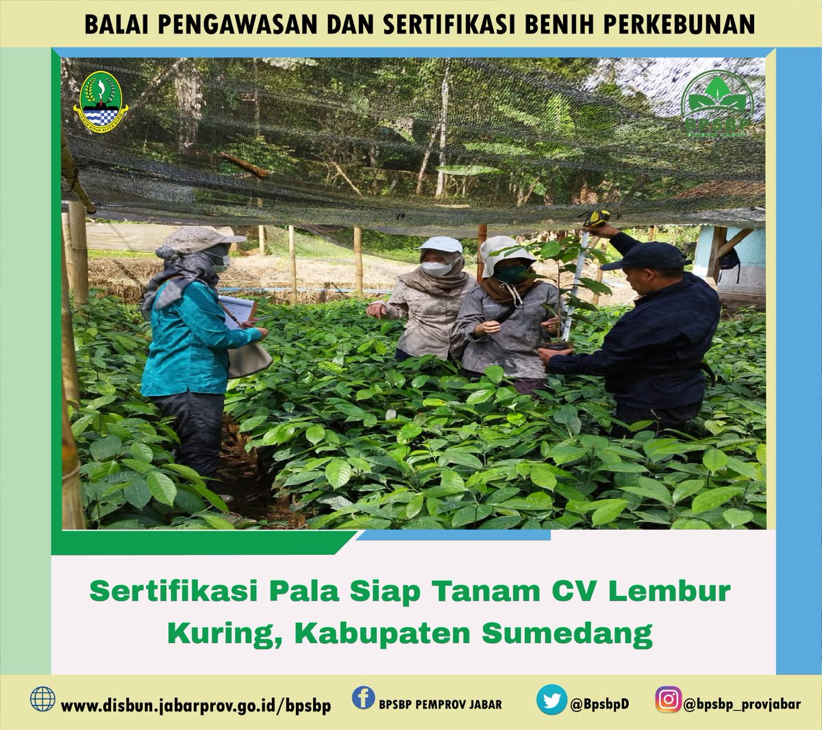 BpsbpD's tweet photo. Selamat siang #wargibun🌱😊
Selasa (13/9) Kali ini tim dari PBT BPSBP melaksanakan sertifikasi pala siap tanam CV Lembur Kuring Kabupaten Sumedang.
.
.
.
#bpsbp #disbun #jabar #humasjabar #humasdisbun #sertifikasi #benih #pala #lemburkuring #sumedang #indonesia https://t.co/4b5Xp4HT5O