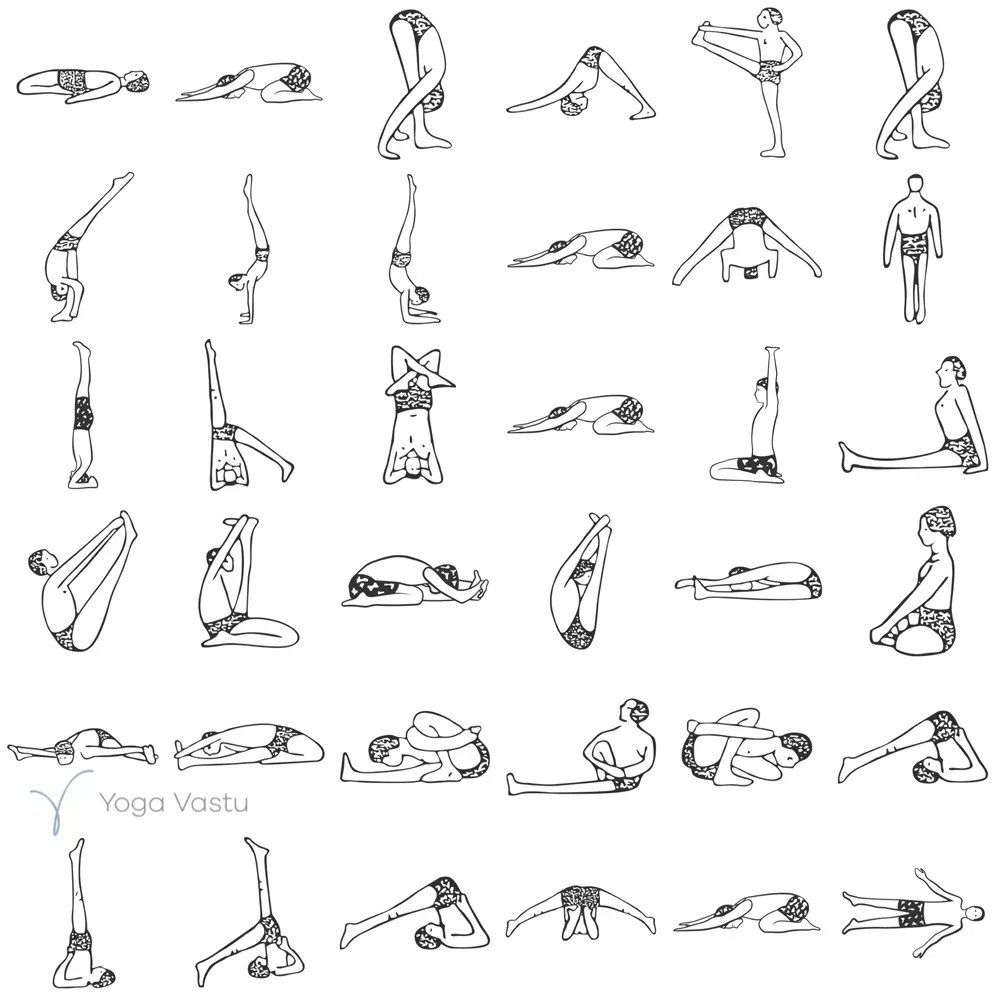 iyogavastu's tweet photo. 🌱Sequence: Asymmetrical Forward Bends
⏱️Time: 90 mins
🌸Level: 3
Print it here: https://t.co/LQ45vnZ1LV
#iyengaryoga #yogaathome #iyengaryogavideos #yogavideos #yogisofinstagram #yogaondemand #yogastreaming #bksiyengar #pixielillas #forwardbends #yogasequence #advancedyoga https://t.co/V5ubJjRLZP