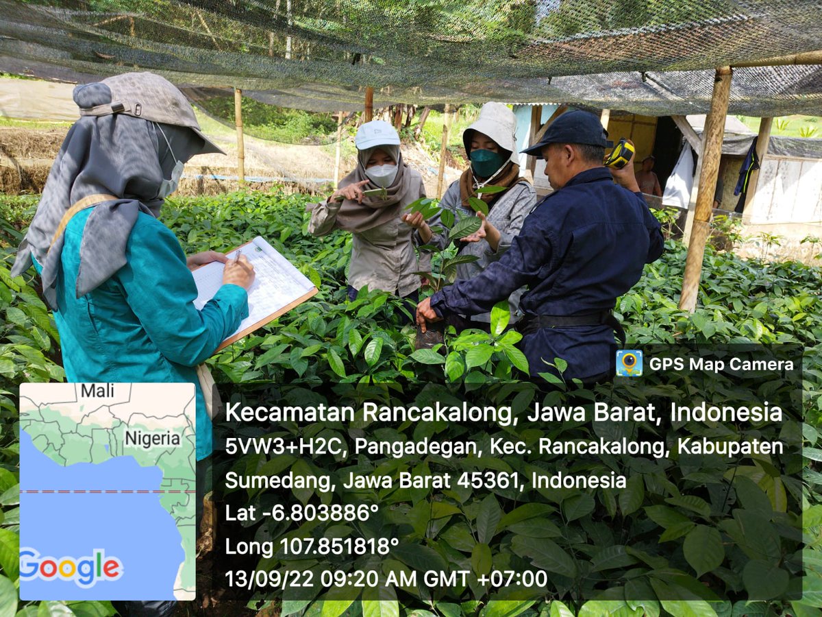 BpsbpD's tweet photo. Selamat siang #wargibun🌱😊
Selasa (13/9) Kali ini tim dari PBT BPSBP melaksanakan sertifikasi pala siap tanam CV Lembur Kuring Kabupaten Sumedang.
.
.
.
#bpsbp #disbun #jabar #humasjabar #humasdisbun #sertifikasi #benih #pala #lemburkuring #sumedang #indonesia https://t.co/4b5Xp4HT5O