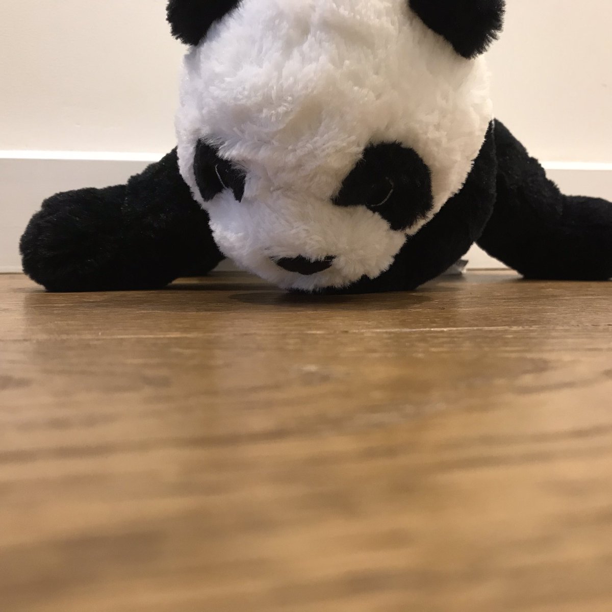 Alex Panda tweet media