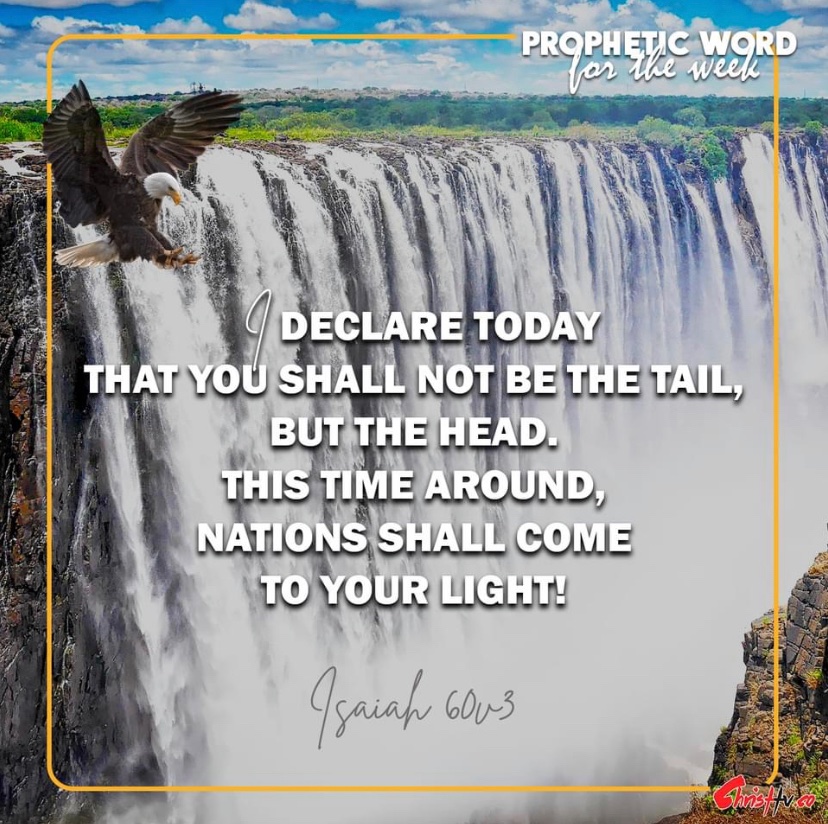 TruthDefinesMe's tweet photo. Isaiah 60:3
“And the Gentiles shall come to thy light, and kings to the brightness of thy rising.” (KJV)
#WordOfGod #TheDefiningLight #ChristTv https://t.co/pwXLPOFhZG