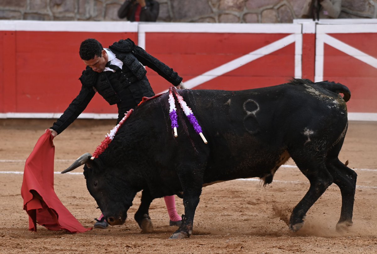 TENDIDO_5 tweet media