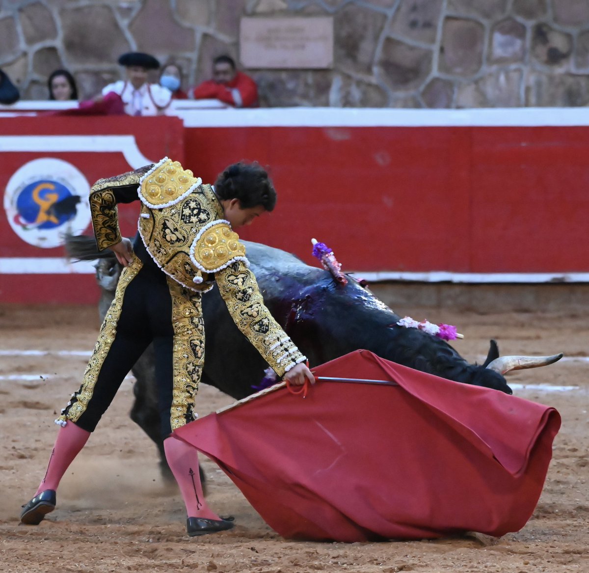 TENDIDO_5 tweet media