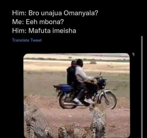 <a href="/MarthaKarua/">Martha Karua</a> <a href="/AfyaCentreCrew/">🅰🅵🆈🅰🅲🅴🅽🆃🆁🅴🅲🆁🅴🆆🇰🇪</a> 😂😂😂