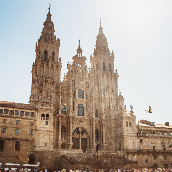 Afangal's tweet photo. Santiago de Compostela acogerá en octubre el XIII Congreso Nacional de Familias Numerosas.

https://t.co/BP9D5ecbFr https://t.co/4oeTIA3Rin