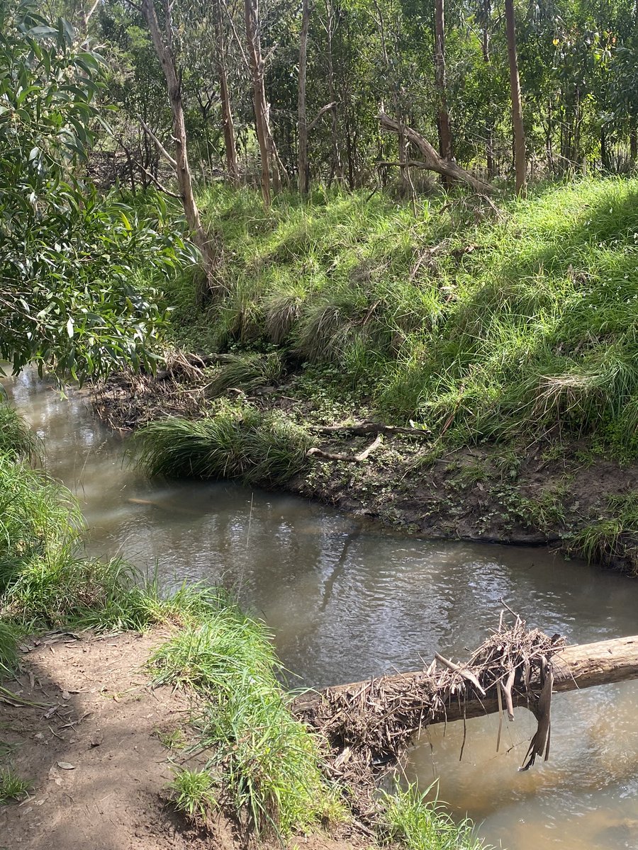 Desmond Ofosu Anim tweet media