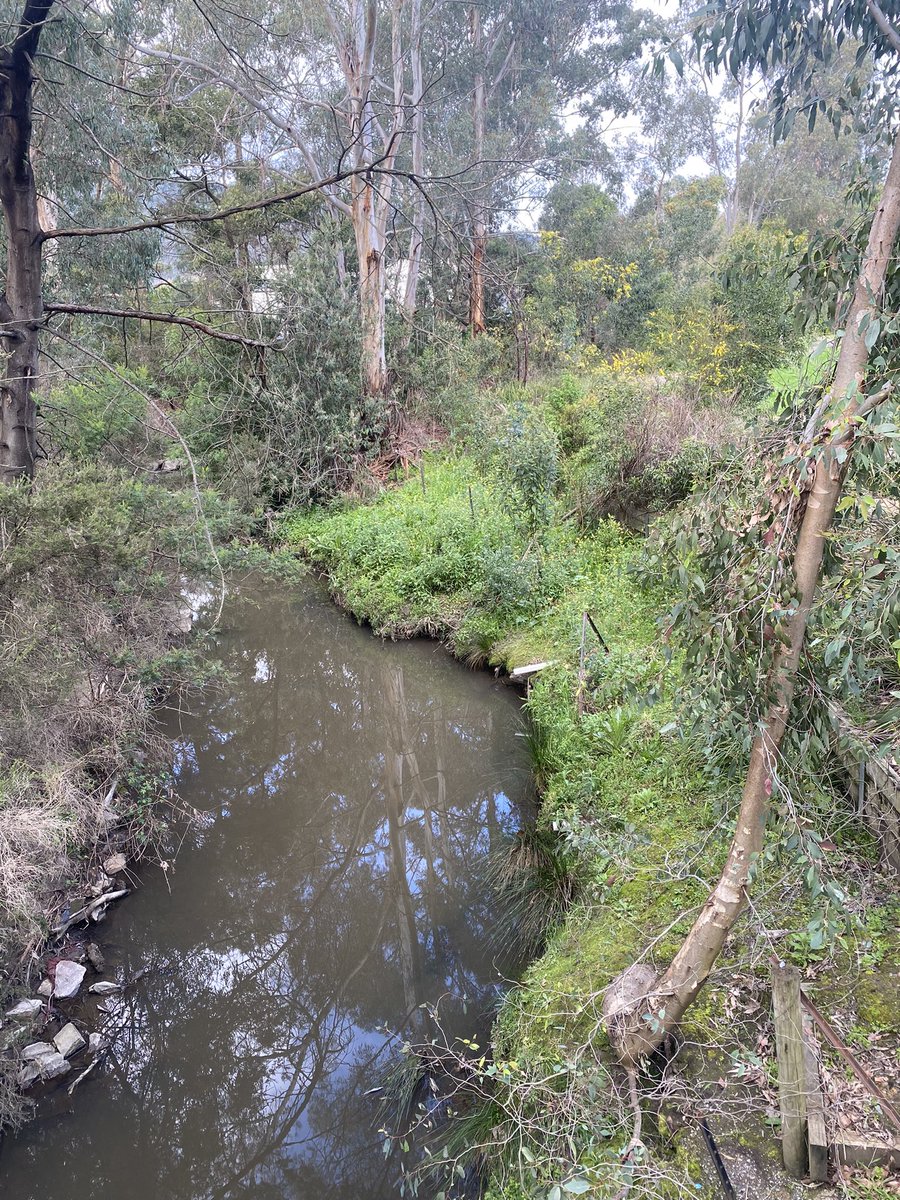 Desmond Ofosu Anim tweet media