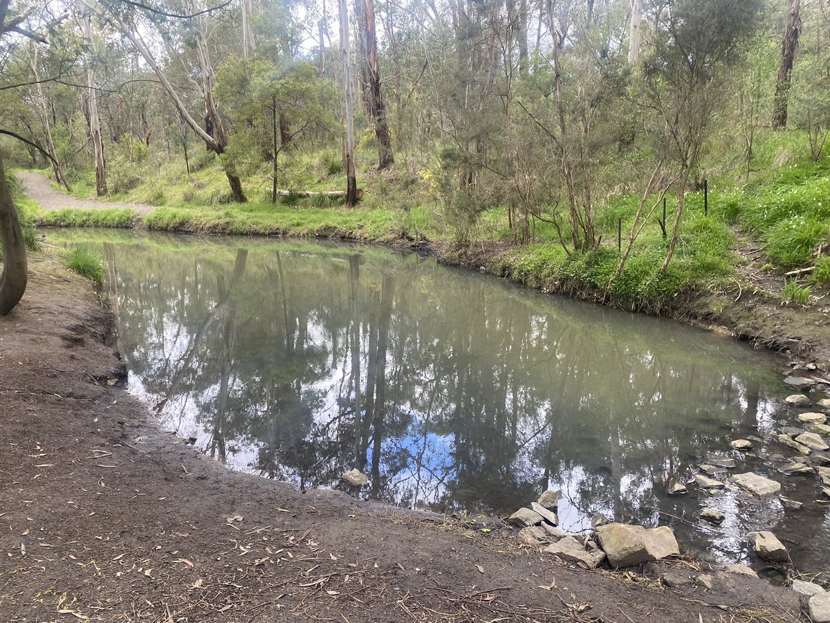 Desmond Ofosu Anim tweet media