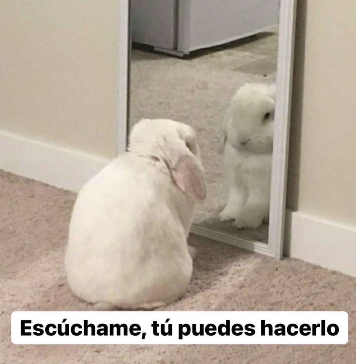noseaswaste's tweet photo. Quitándome la pena de pedir las cosas en mi tupper. https://t.co/Ty00BvjgLl