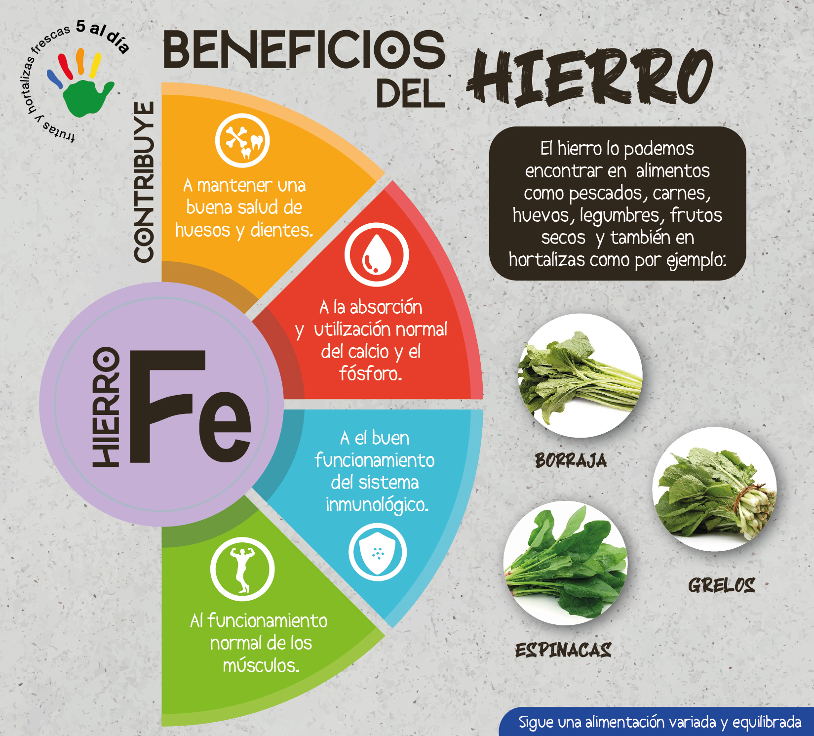 profundo Corea Tienda 5 al día on Twitter: "El #hierro ayuda a 👉 Disminuir el cansancio y la fatiga 👉 Contribuye a que el óxigeno se transporte por todo nuestro cuerpo ¿Sabes en qué #hortalizas profundo Corea Tienda 5 al día on Twitter: "El #hierro ayuda a 👉 Disminuir el cansancio y la fatiga 👉 Contribuye a que el óxigeno se transporte por todo nuestro cuerpo ¿Sabes en qué #hortalizas