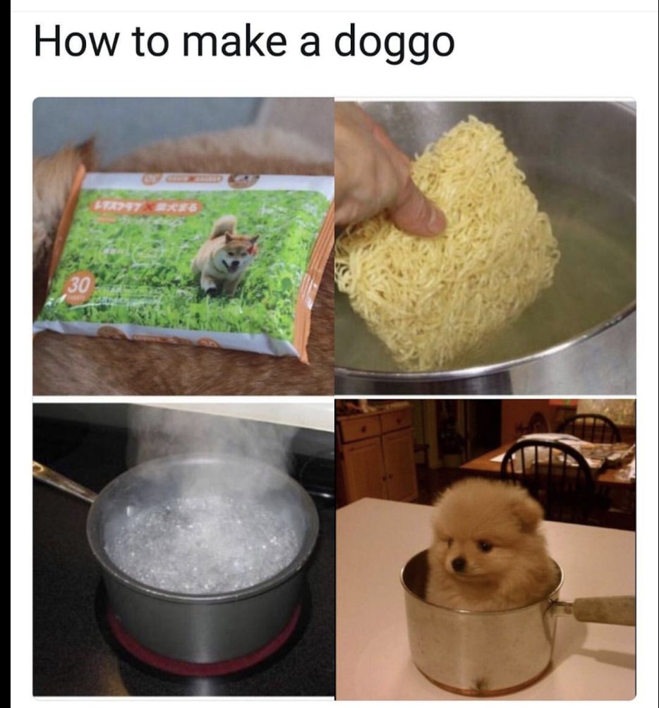 HeckinGoodDogs's tweet photo. https://t.co/GgIug97R4U