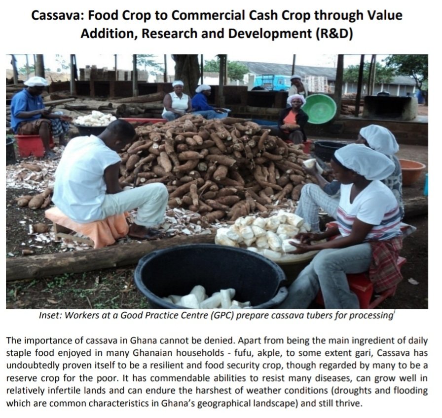 paulatsu2323's tweet photo. During the #RTIMP PIALA #Impact evaluation, #Kobby Optson Project Officer at @pdaghana share an opinion paper noting "we must strengthen the #root & tuber-based livelihoods of small scale farmers and processors with special attention to women and youth.1/2 https://t.co/32iKNy4pv5