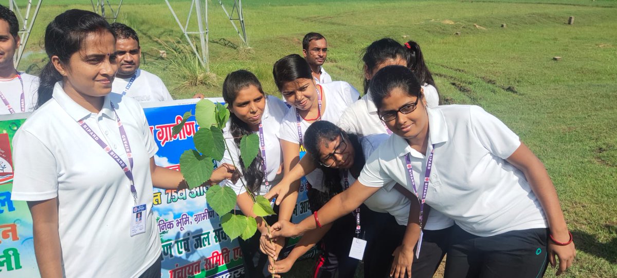 BipardP's tweet photo. Plantation activities in Sabar Chak (Naubatpur) Nagar Panchayat by Trainee Panchayat sachiv... #BIPARD #Patna #Bihar #BiharPolitics #Training #government #gaya #followers https://t.co/QWbtZBYbMO