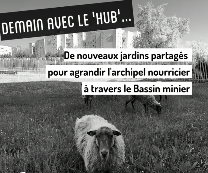lesangesgardins's tweet photo. 🔎 [ Budget citoyen : découvrez le projet du Hub ]
Le Hub bien manger Bassin minier c’est quoi 🤔 ? Le Hub c’est ça 👇
https://t.co/LGTld1SDFY
Pour contribuer à appuyer ce projet, prenez quelques secondes pour voter ici 🗳️ et relayez à votre réseau
https://t.co/JEt6aj1jnF
👩‍🌾🥕 https://t.co/5jgPL06PE7