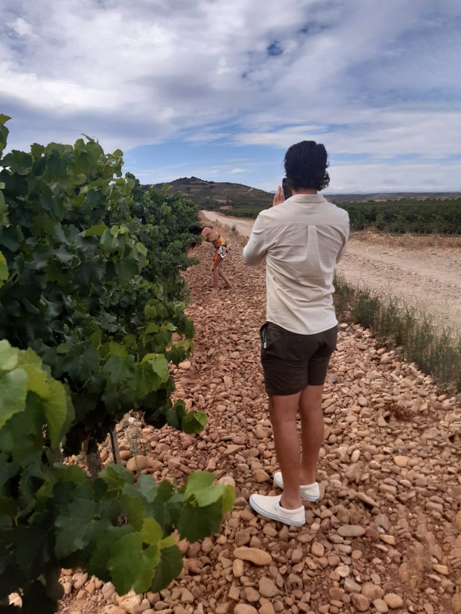 Visitar La Rioja es adentrarse en el corazón de los viñedos y es ahora cuando estos parajes se vuelven los protagonistas indiscutibles con la actividad propia de los días de la vendimia. 
¡Conoce más sobre el enoturismo en nuestro blog!

entrevinosypagos.com/enoturismo-sep…