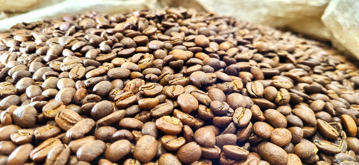 CaffiaCoffee's tweet photo. How satisfying is this picture of our coffee beans? https://t.co/HF30gspbmh