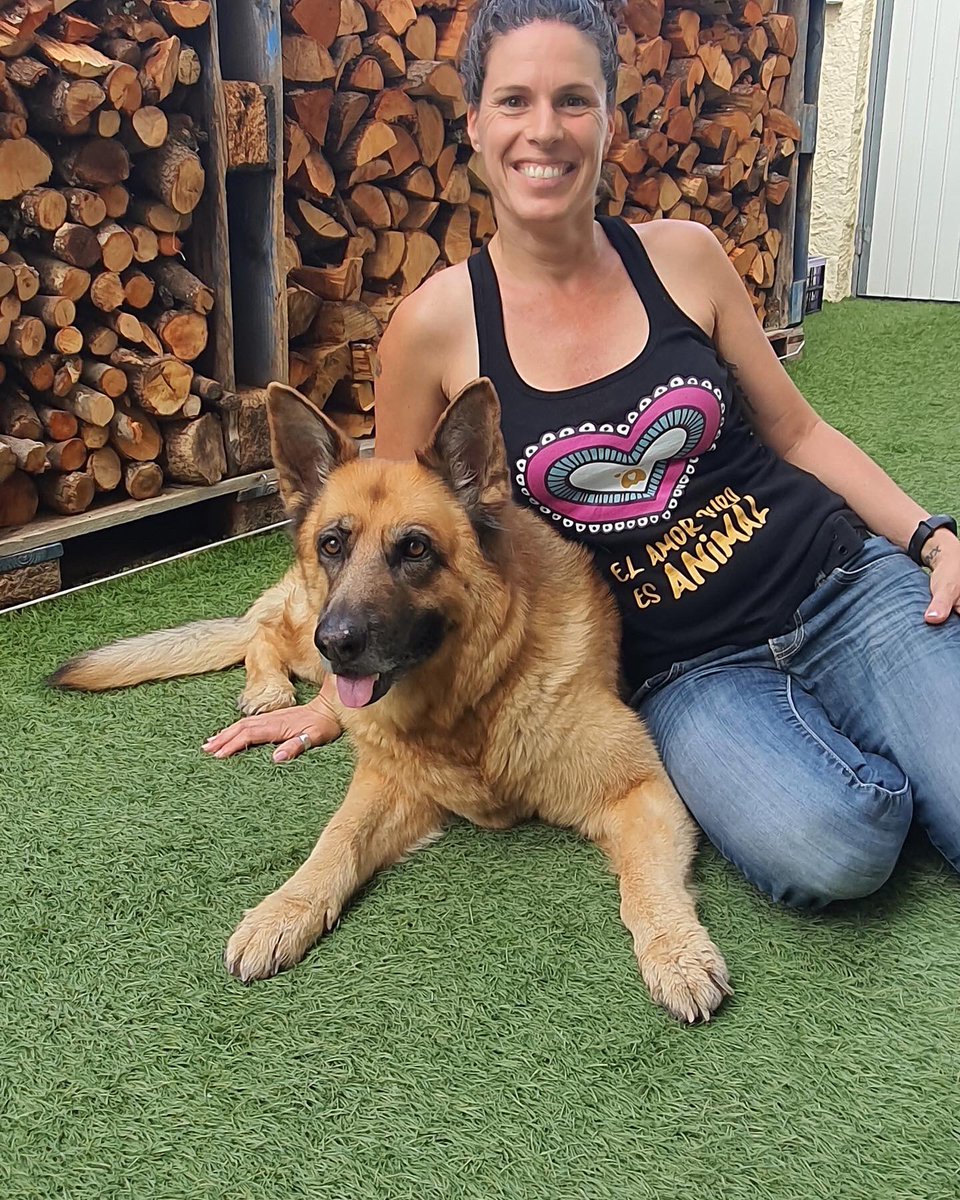 iberanimal's tweet photo. MUCHAS GRACIAS a nuestra amiga @celindra5544 Cèlia Plaja por ayudarnos y formar parte de nuestra familia. Y enhorabuena a Indra por su MAGNÍFICO POSADO!!! ♥️🐾♥️ #noalmaltratoanimal  #noalabandonoanimal #adopta https://t.co/JeR5j4dT73
