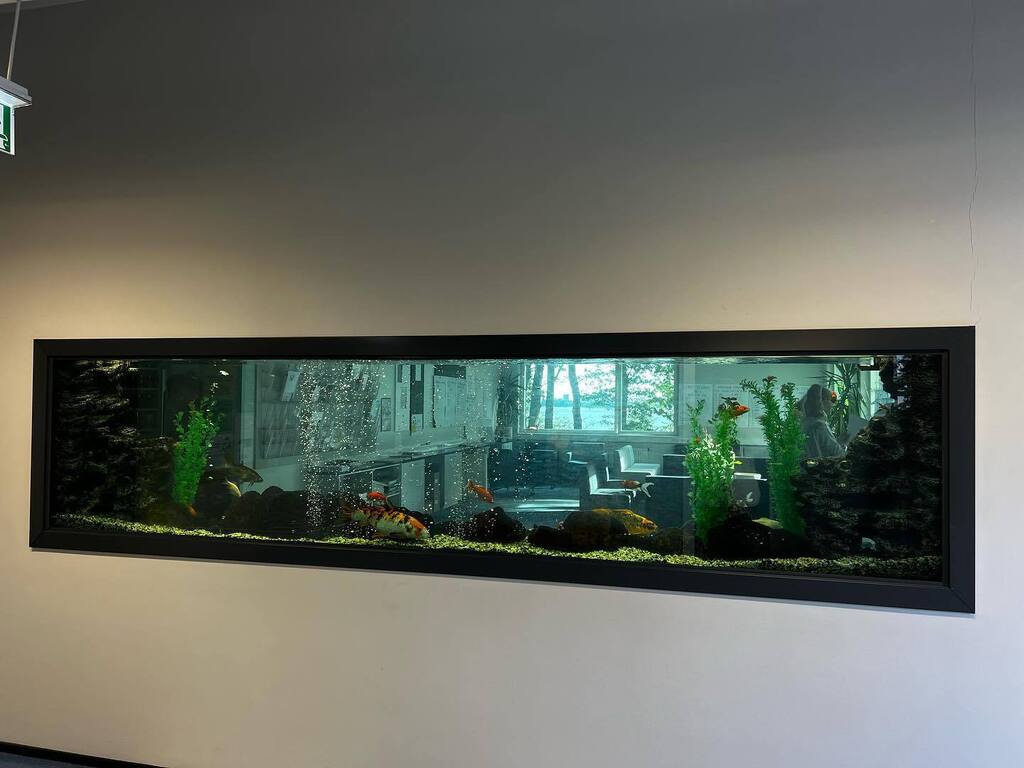 seni_bl's tweet photo. Impressions from a school in Tallinn #possibilities #school #interiordesign #interior_verbindet #learning #edupnx #tw https://t.co/TJaoHciQlK https://t.co/oQU6MNR64o