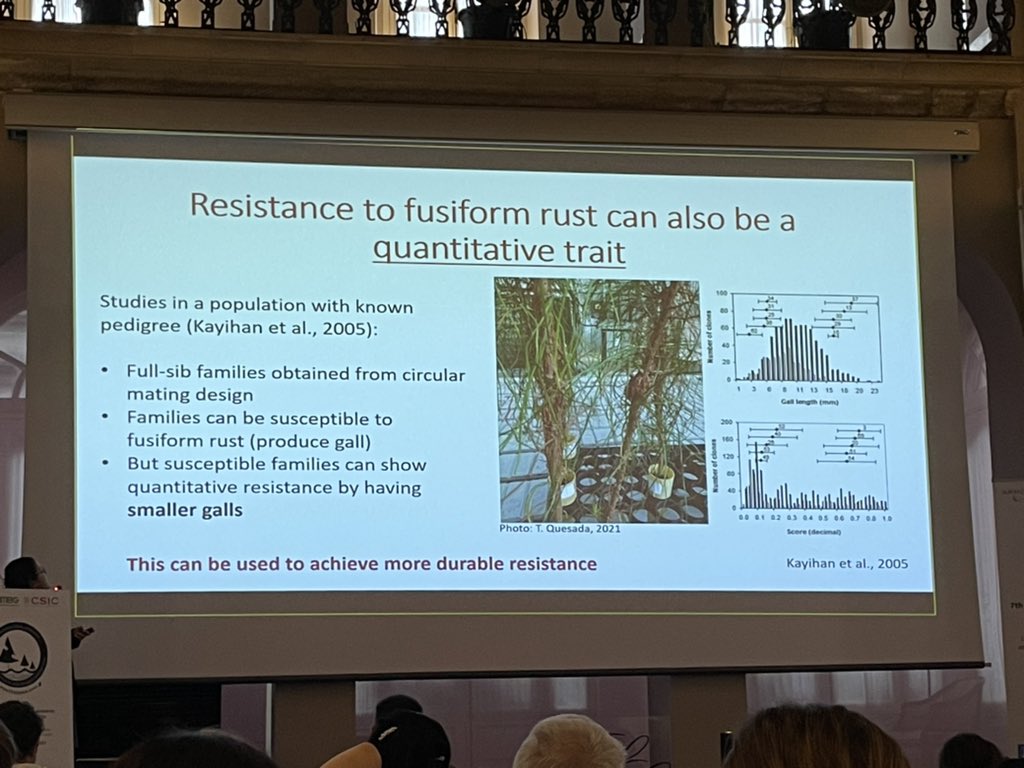 TreeHealthDoc's tweet image. Tania Quesada from @ForestPathLab was presenting neat work on predicting qualitative &amp;amp; quantitative resistance to #fusiformrust in loblolly 🌲 families using integrated genomic &amp;amp; phenotypic 🌲-🦠 data. @IUFROdivision7 @7GTPI2022 @USDA_NIFA #WomenInSTEM #ForestHealth2022