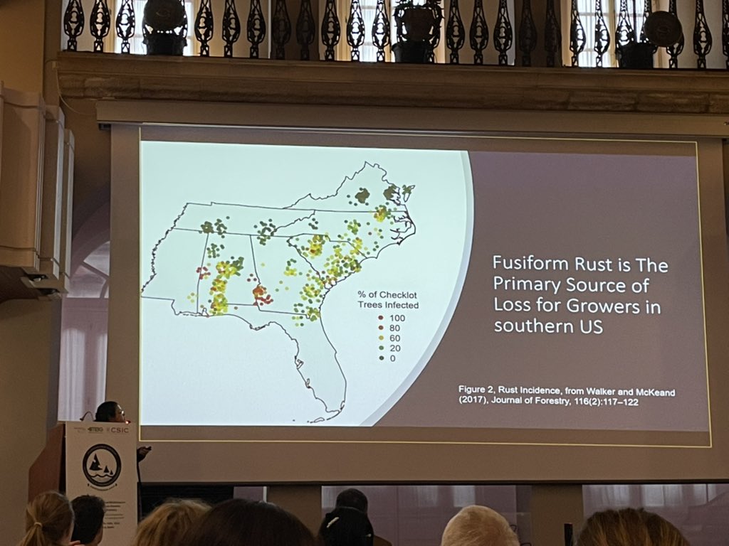 TreeHealthDoc's tweet image. Tania Quesada from @ForestPathLab was presenting neat work on predicting qualitative &amp;amp; quantitative resistance to #fusiformrust in loblolly 🌲 families using integrated genomic &amp;amp; phenotypic 🌲-🦠 data. @IUFROdivision7 @7GTPI2022 @USDA_NIFA #WomenInSTEM #ForestHealth2022