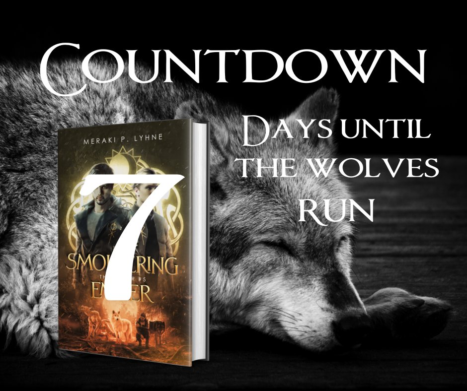 Meraki P. Lyhne tweet media