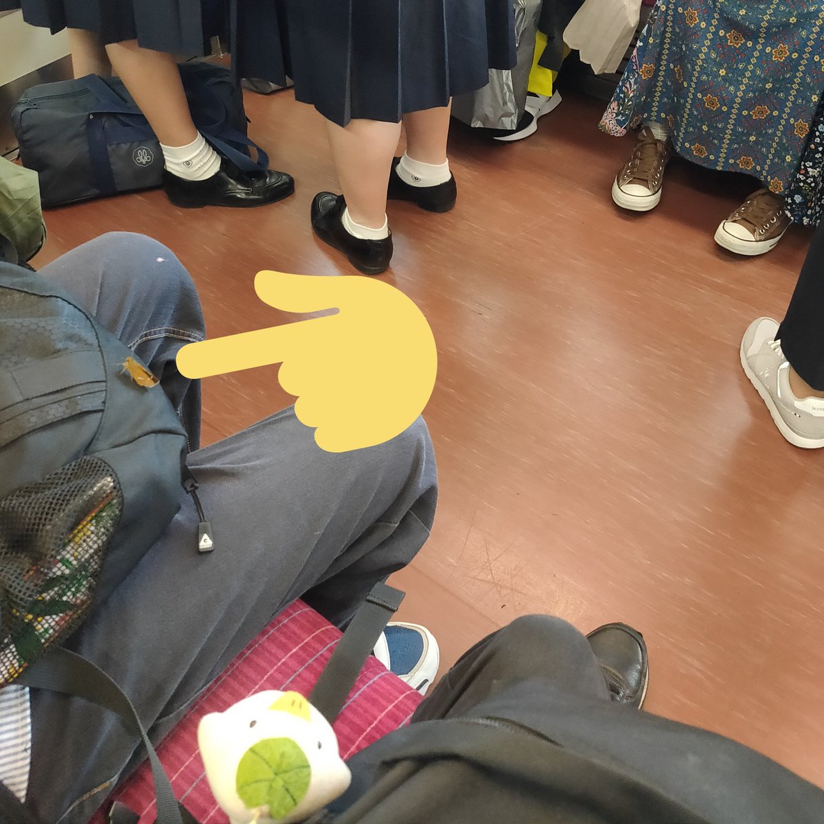 ryenyan_'s tweet photo. 電車でとなりのおじ���まが珍しいペット連れてた https://t.co/gdkbomRfX6