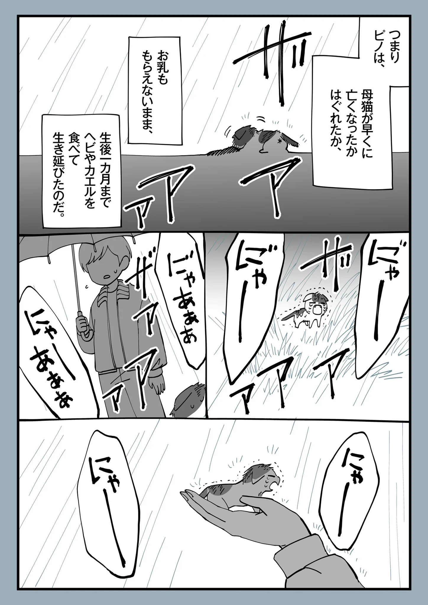 ふみふみの時にチューチューもする理由！小さい時の環境が影響していた！
