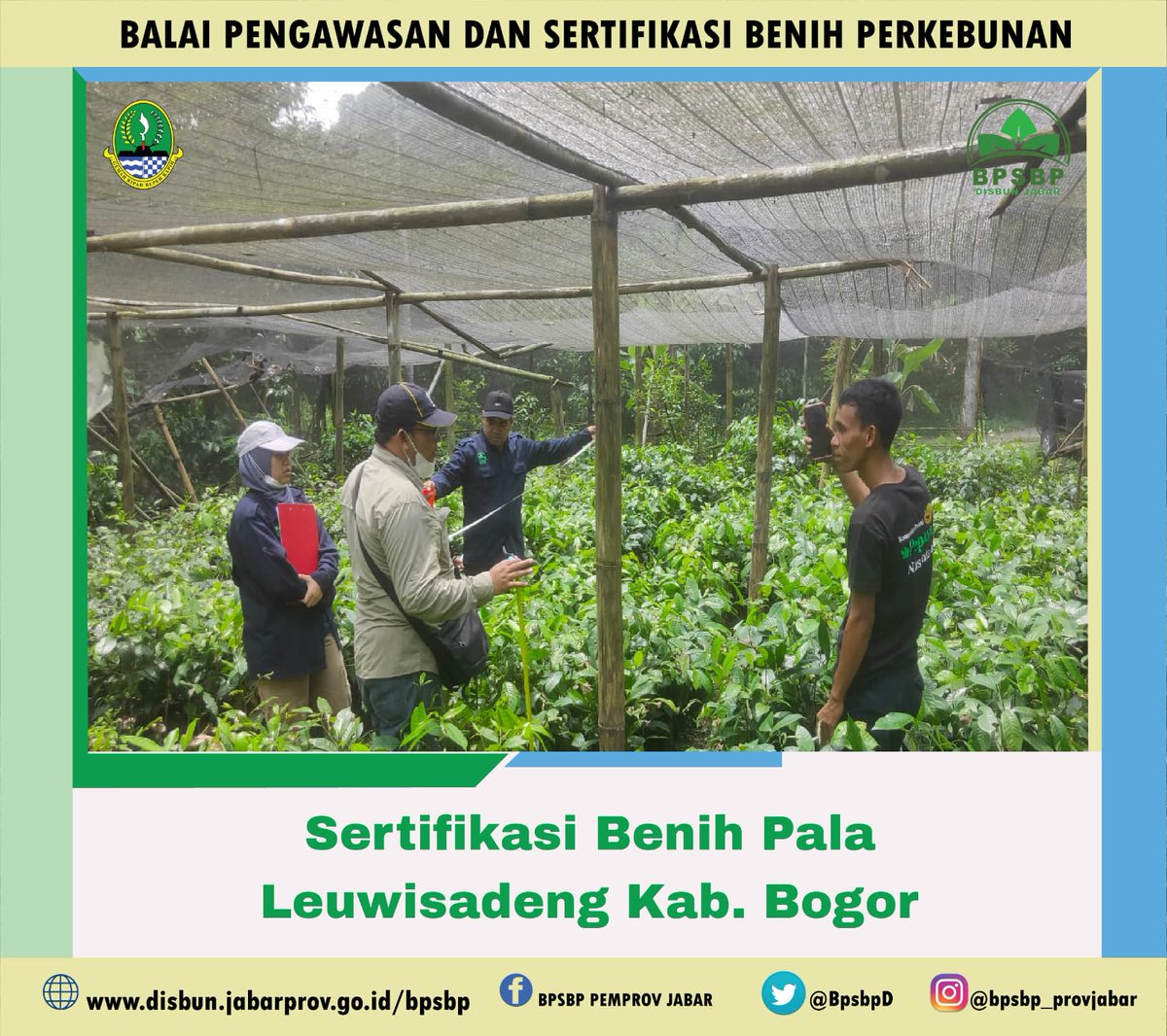 BpsbpD's tweet photo. Selamat Sore #wargibun🌱😊
Selasa (13/9) Kali ini tim dari PBT BPSBP melaksanakan sertifikasi pala di Lewisadeng Kab. Bogor
.
.
.
#bpsbp #disbun #jabar #humasjabar #humasdisbun #sertifikasi #benih #pala #lemburkuring #sumedang #indonesia https://t.co/tk4v81nRiP