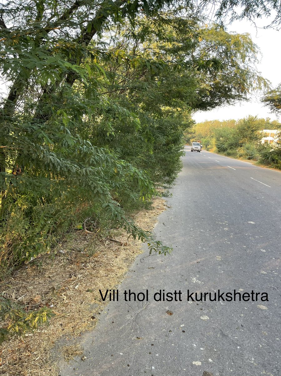 Ravi Malhi tweet media