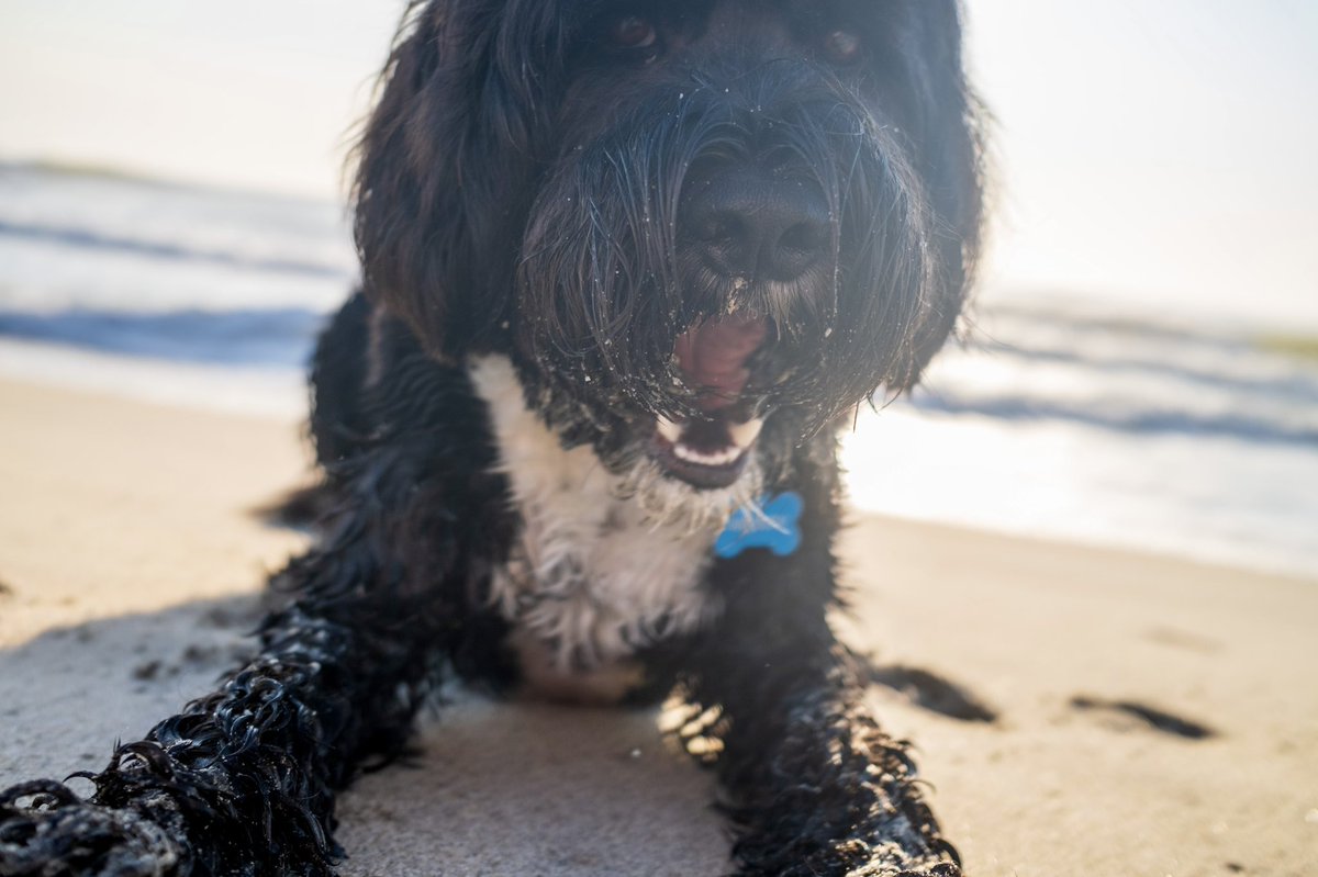 Rab Wyant 〄 (@rabwyant) on Twitter photo 