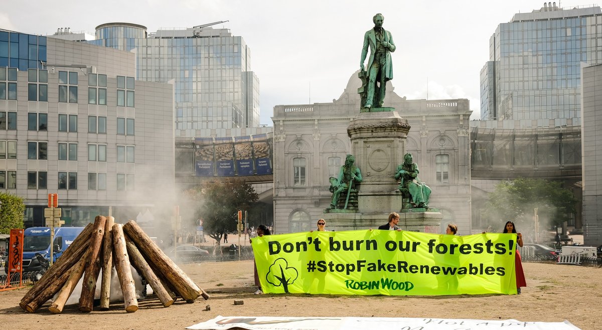 Jutro głosowanie nad dyrektywą #OZE. Wzywamy naszych przedstawicieli i przedstawicielki🇵🇱 w <a href="/Europarl_EN/">European Parliament</a> 🇪🇺 do głosowania za zaprzestaniem traktowania drewna jako OZE i wstrzymaniem dotowania spalania lasów‼️🌳🌍🔥 #Biomass #StopFakeRenewables