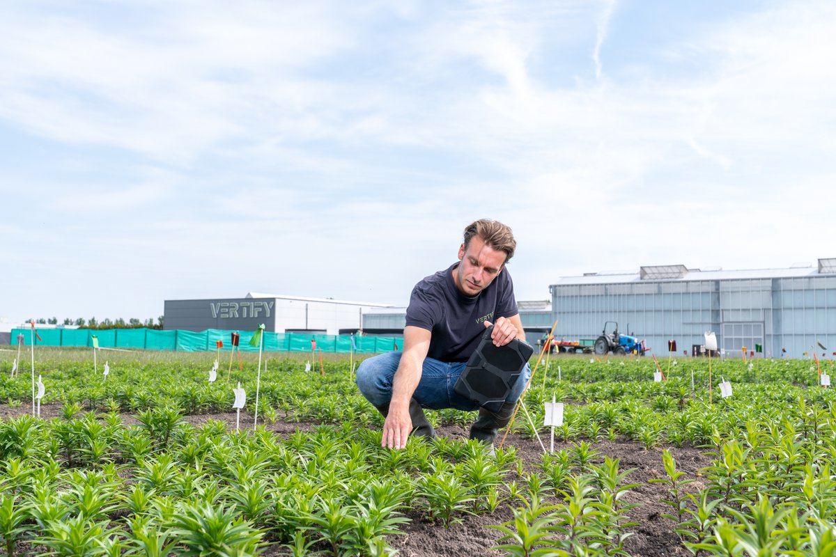 Job is buitenteeltmedewerker bij <a href="/Vertify_nl/">Vertify</a>. Hij houdt zich bezig met zaaien, planten en oogsten, zowel in de akkerbouw, vollegrondsgroenten, fruit- en bloembollengewassen.
👉 Lees Jobs hele interview! opkop.nl/artikelen/job-…
#beroepenmagazine #opkop #werkenindekop