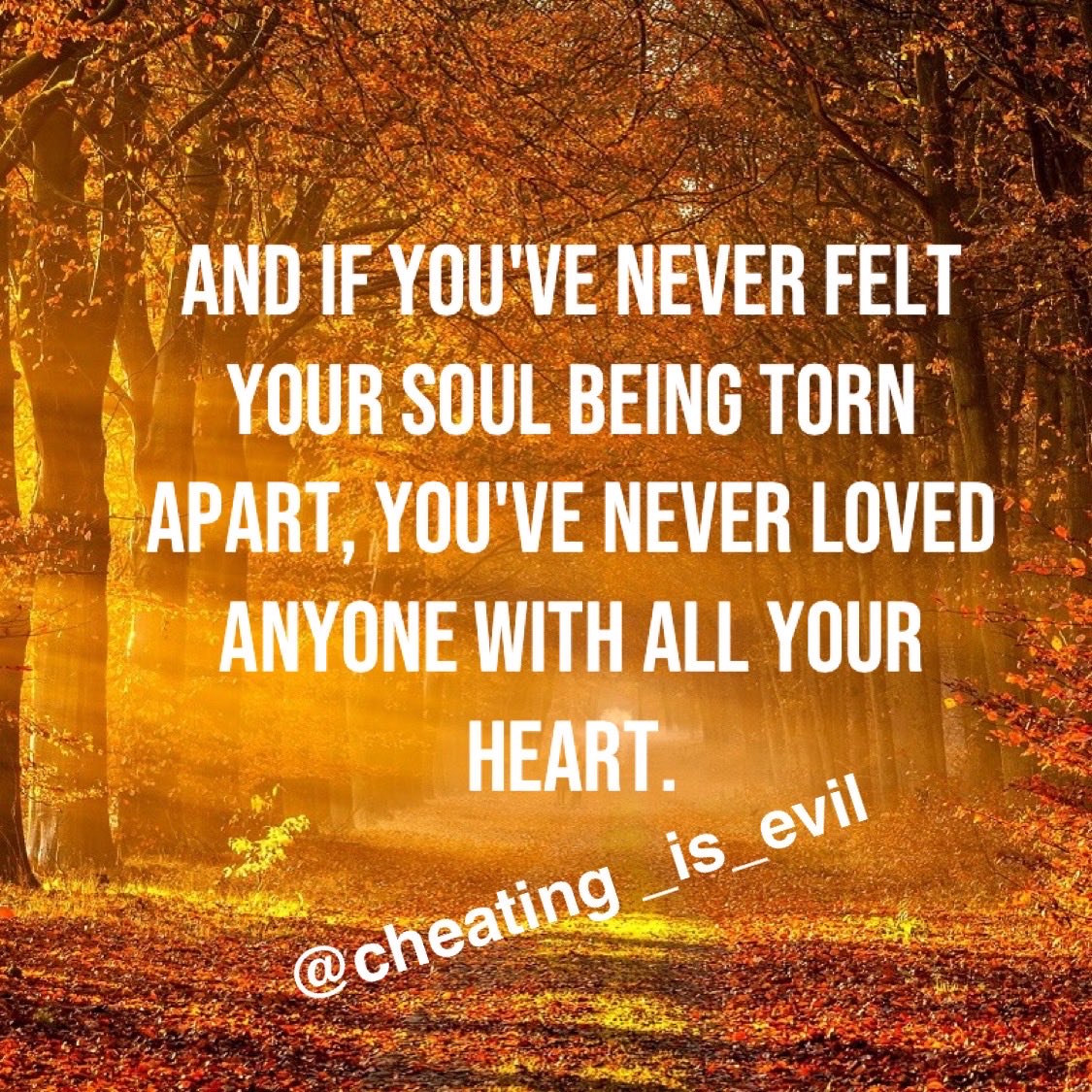CheatingIsEvil's tweet image. 